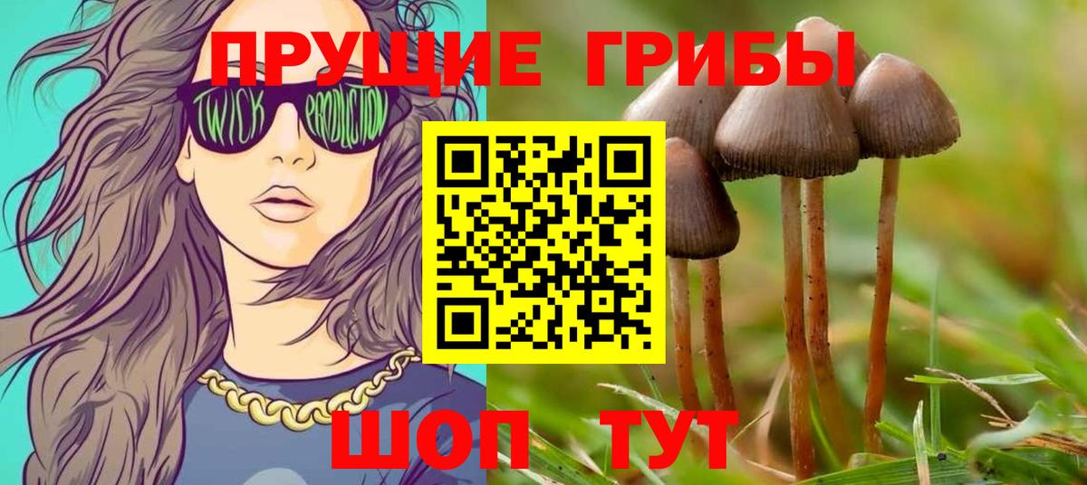 Псилоцибиновые грибы ЛСД  Вход с VPN  Югорск 