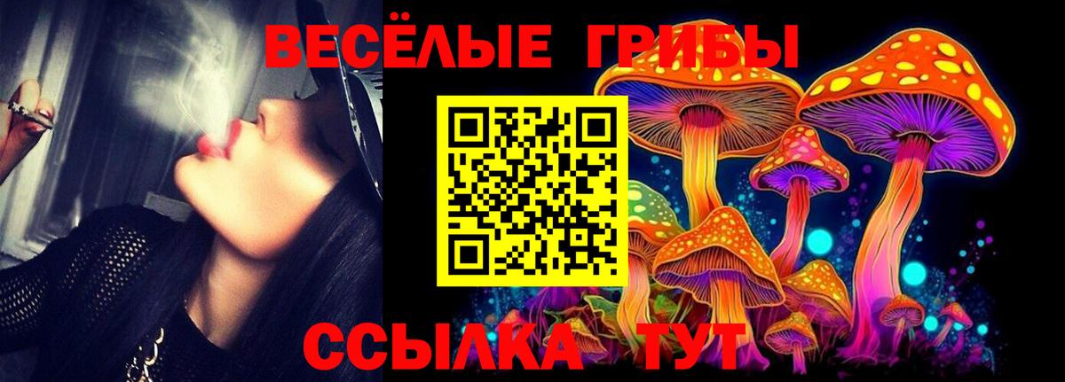 Галлюциногенные грибы Magic Shrooms Югорск